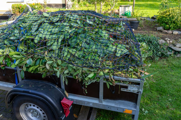 Best Yard Waste Removal  in Centerville, OH